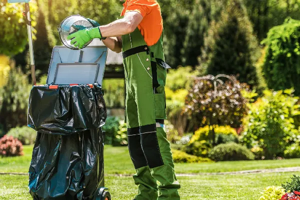 Spring Time Back Yard Garden Maintenance and Cleaning