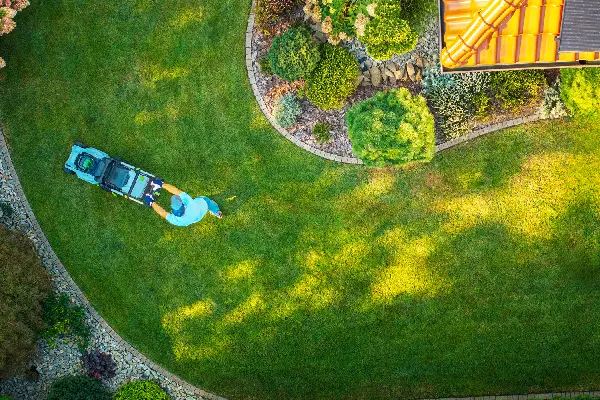 Man Mowing a Lush Green Lawn in a Well-Maintained Garden