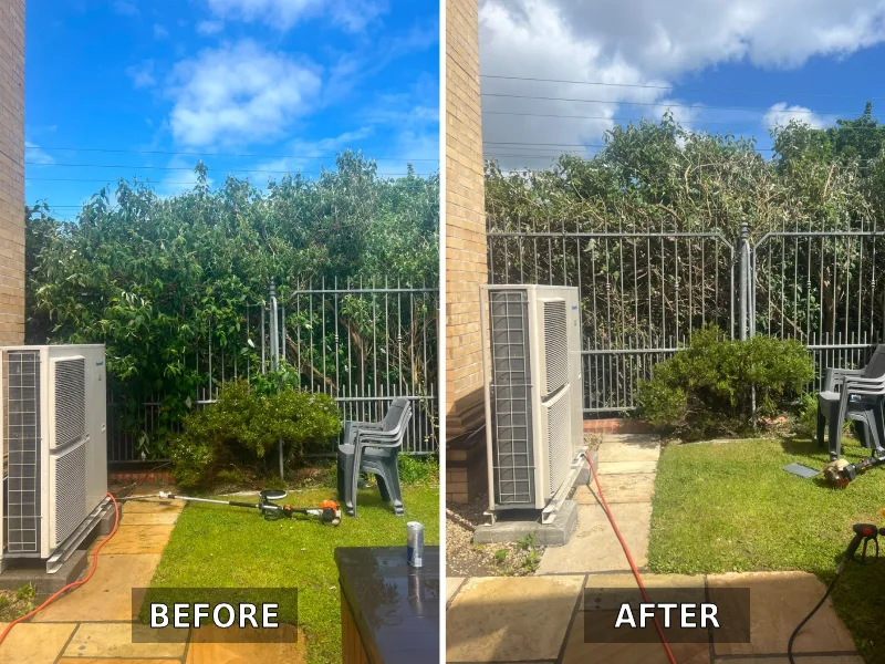 Before and after a hedge got trimmed
